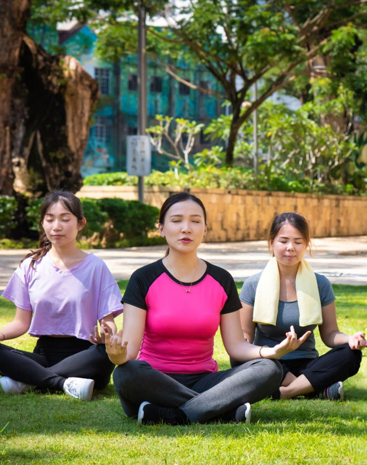 Wellness and Mindfulness