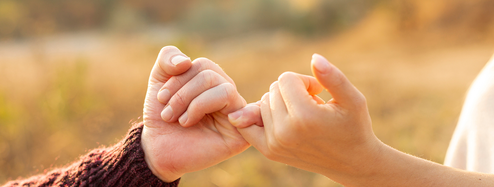 AUAU team collaborating